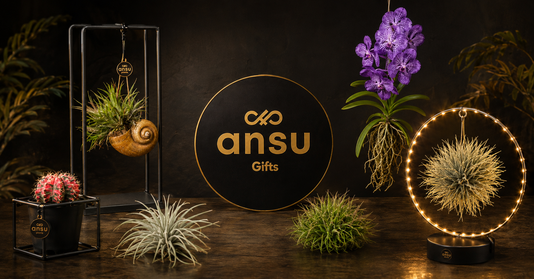 https://ansugifts.nl/fr-fr