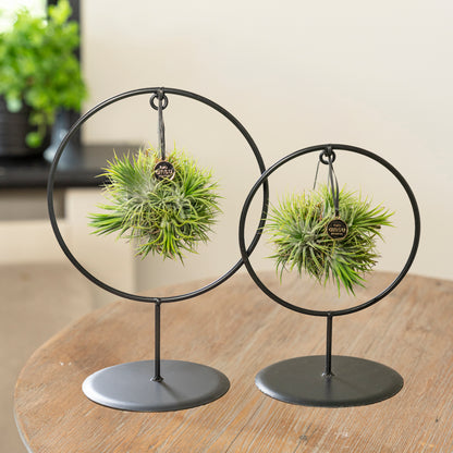 Spikey Silver in cirkel rek op tafel