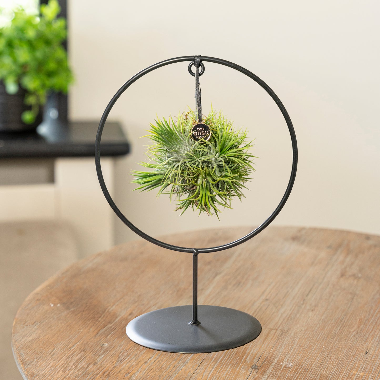 Spikey Silver cirkel medium op tafel