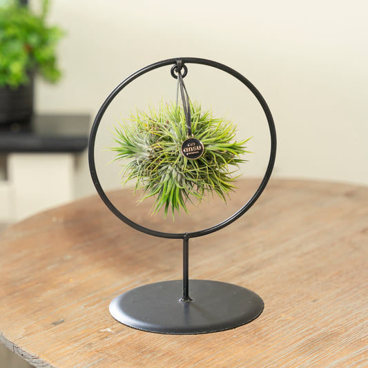 Spikey silver Cirkel small op tafel