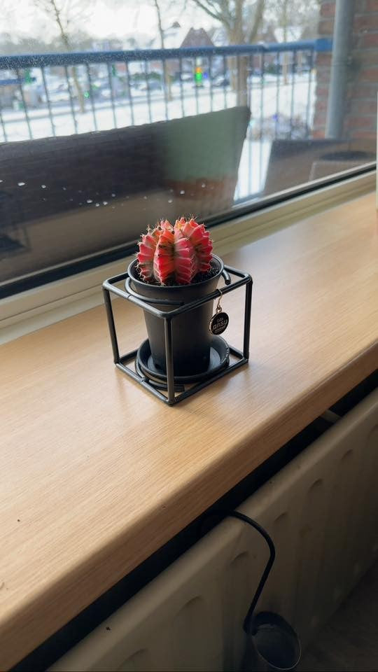 Henk S.
