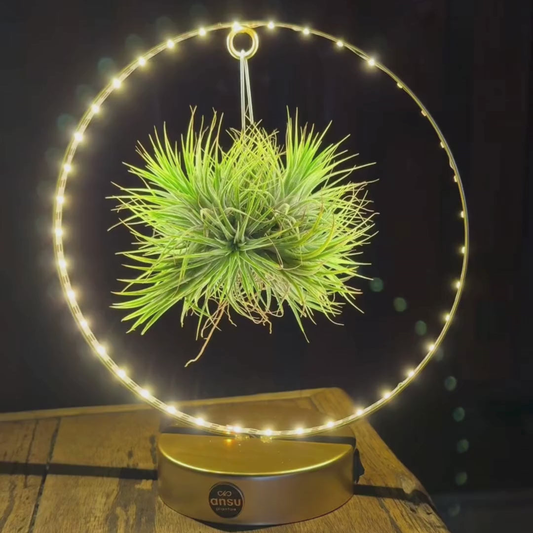 Led edities op tafel in video